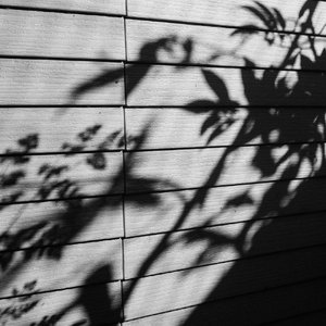 看老头操老婆逼
